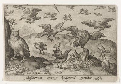 Eule mit Beute, bedrängt von anderen Vögeln von Nicolaes de Bruyn
