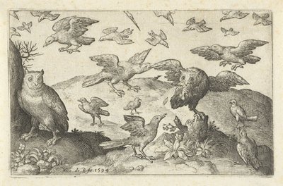 Uil met prooi belaagd door andere vogels von Nicolaes de Bruyn