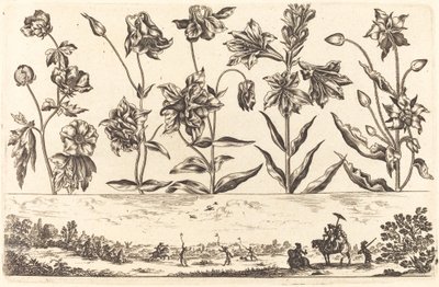 Blumendruck Nr. 6 von Nicolas Cochin after Balthasar Moncornet