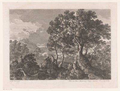 Hügellandschaft mit Bäumen von Nicolas Perelle
