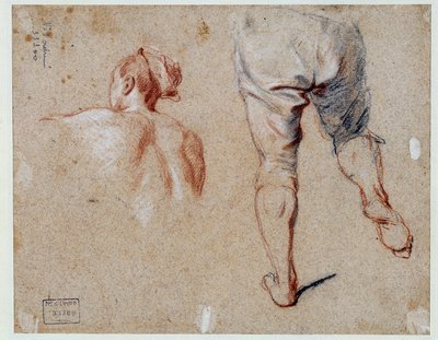 Anatomiestudie Ölgemälde von Nicolas Vleughels 18. Jahrhundert Paris, Louvre Museum von Nicolas Vleughels