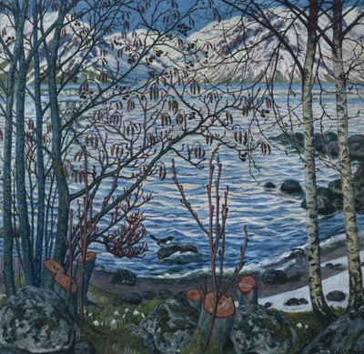 Vogel auf Felsen von Nikolai Astrup