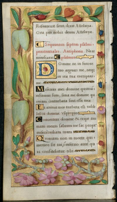 Blatt aus einem Stundenbuch: Bußpsalmen, um 1530-1535 von Noel Bellemare