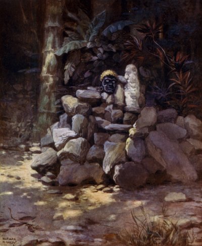 Ein Schrein oder Grab eines Häuptlings in Simbo, Salomonen von Norman Hardy