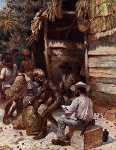 Johnnie Pratt mit seinen Elfenbeinnüssen in Simbo, Salomonen (Farblithografie) von Norman Hardy