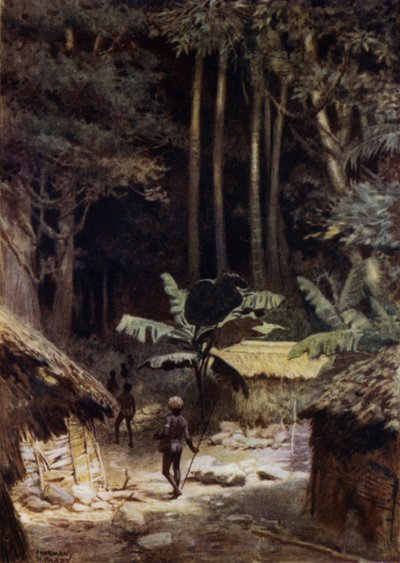 Am Rande eines Urwaldes, Salomonen von Norman Hardy