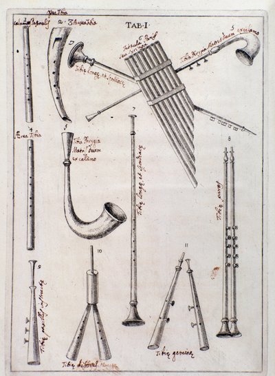 Blasinstrumente Seite aus „de Tribus Generibus Instrumentorum Musicae Veterum“ Werk über alte Instrumente von Francesco Bianchini von Northern Italian School