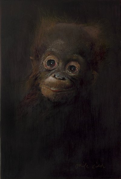 Baby-Orang-Utan 1, 2009 von Odile Kidd