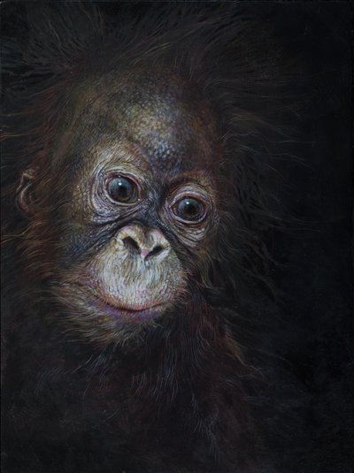 Baby-Orang-Utan 3, 2015 von Odile Kidd