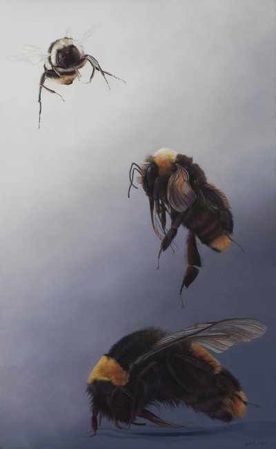 Bombus Flug 2, 2011 von Odile Kidd