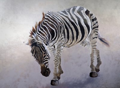 Equus burchelli 2, 2010 von Odile Kidd