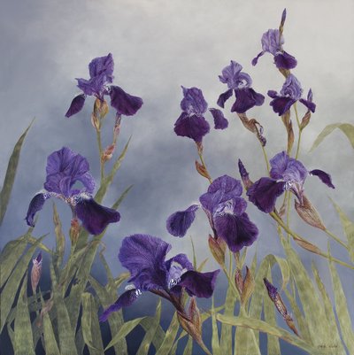 Iris hybrida, 2015 von Odile Kidd
