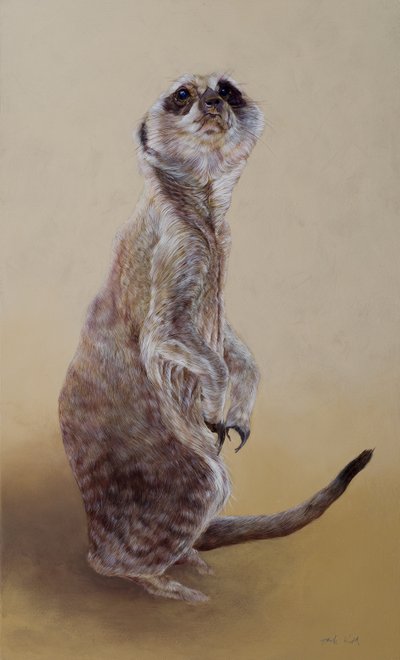 Erdmännchen 2, 2010 von Odile Kidd
