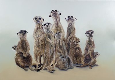 Erdmännchen-Mob, Sonnenengel von Odile Kidd