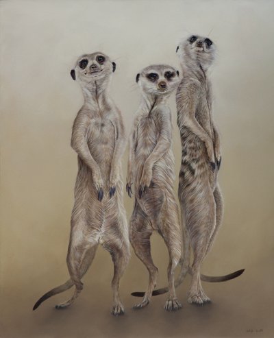 Erdmännchen, 2014 von Odile Kidd