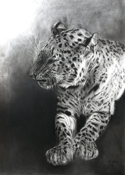 Panthera pardus 2, 2009 von Odile Kidd