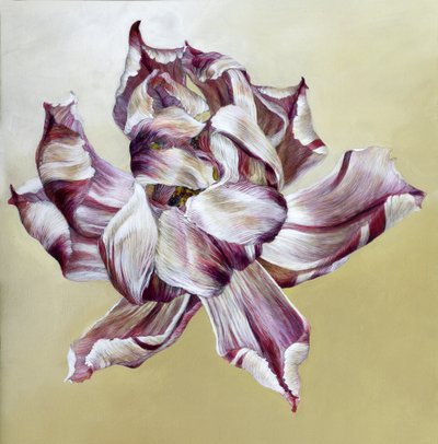 Tulipa von Odile Kidd