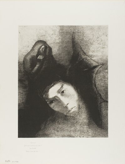 Anthony: "Was ist der Zweck von all dem?" Der Teufel: "Es gibt keinen Zweck!", Platte 18 von 24 von Odilon Redon