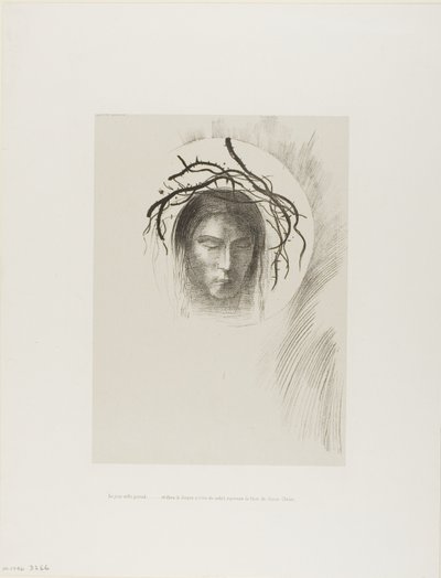 Der Tag erscheint endlich,...und im eigentlichen Sonnenscheibe leuchtet das Gesicht Jesu Christi, Platte 24 von 24 von Odilon Redon