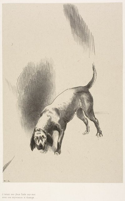 Er [Der Hund des Erzählers] hielt seine Augen mit einem so seltsamen Blick auf mich gerichtet, Platte 3 von 6 von Odilon Redon