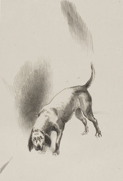 Er [Der Hund des Erzählers] hielt seine Augen mit einem so seltsamen Blick auf mich gerichtet, Platte 3 von 6 von Odilon Redon