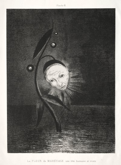 Hommage an Goya: Die Sumpfblume, ein trauriger Menschenkopf, 1885 von Odilon Redon