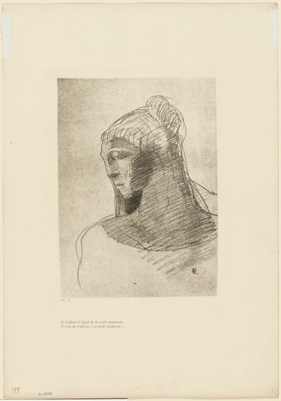 Ich verehre dich wie das Gewölbe des Nachthimmels, o Gefäß der Traurigkeit, o große stille Frau, Platte 2 von 9 von Odilon Redon