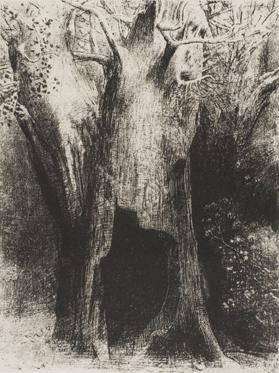 Ich tauchte in die Einsamkeit ein. Ich wohnte im Baum hinter mir, Platte 9 von 24 von Odilon Redon