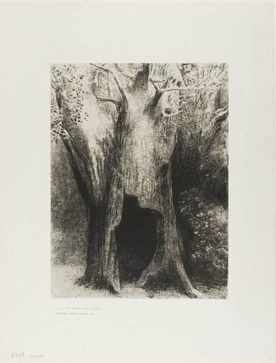 Ich tauchte in die Einsamkeit. Ich wohnte im Baum hinter mir, Platte 9 von 24 von Odilon Redon