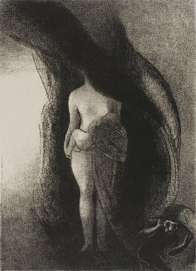 Ich bin immer noch die große Isis! Niemand hat jemals meinen Schleier gelüftet!, Platte 16 von 24 von Odilon Redon