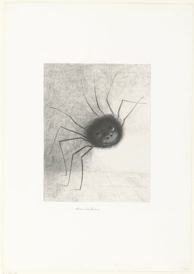 Die Spinne von Odilon Redon