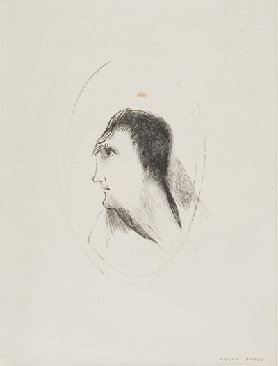 Die Breite und Flachheit des Stirnknochens, Platte 6 von 6 von Odilon Redon