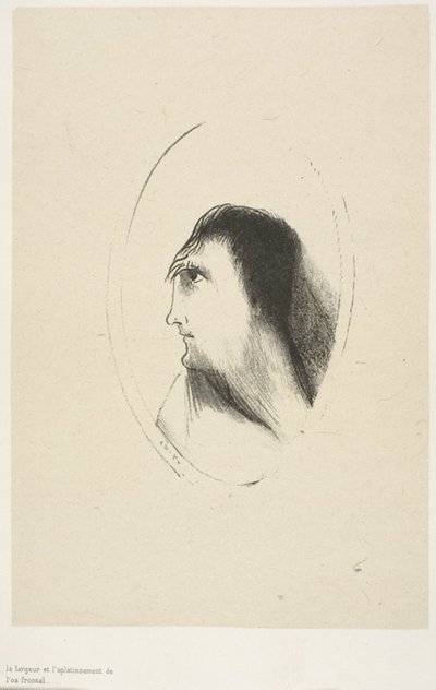 Die Breite und Flachheit des Stirnknochens, Tafel 6 von 6 von Odilon Redon
