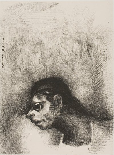Durch den Riss in der Wand wurde ein Totenkopf projiziert, aus Der Geschworene von Odilon Redon