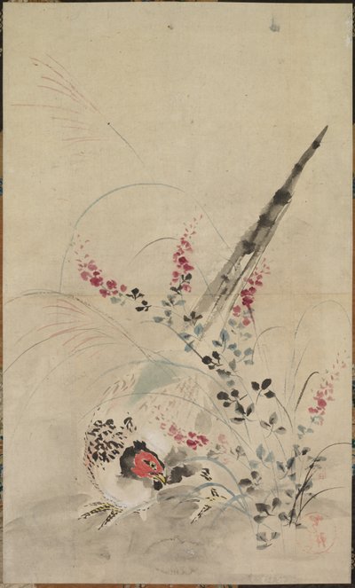 Fasan und Gräser, spätes 17. - frühes 18. Jahrhundert von Ogata Korin