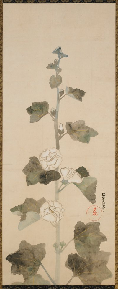 Weiße Stockrosen, Edo-Zeit, spätes 17. bis frühes 18. Jahrhundert von Ogata Korin