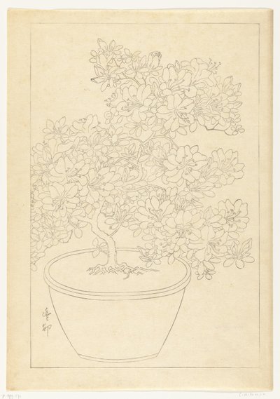 Blühende Azalee im Topf von Ohara Koson