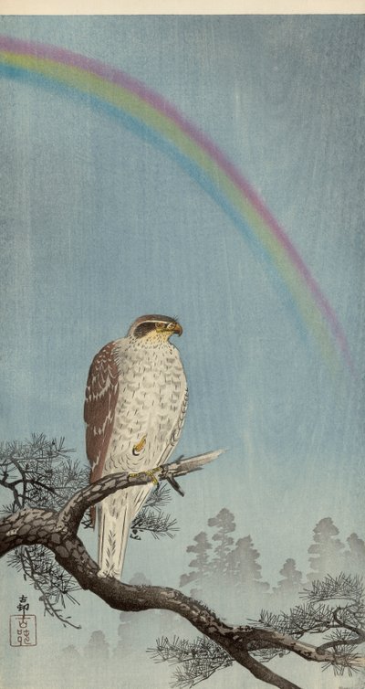 Habicht auf einem Kiefernbaum mit einem Regenbogen darüber von Ohara Koson