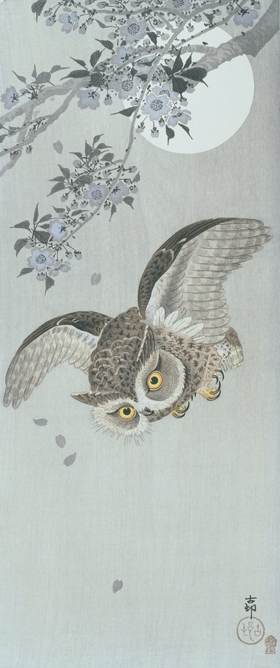 Eule im Flug mit Blüten und Vollmond (Farbholzschnitt) von Ohara Koson