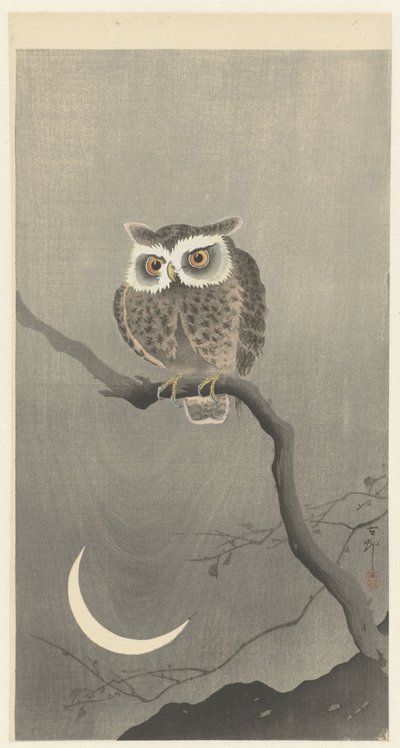 Zwergohreule auf einem Ast mit Halbmond von Ohara Koson