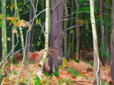 Wald 7 von Olivier Morel