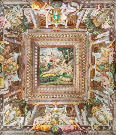 Ansicht der Decke des Zimmers von Adonis und der Gedenksteine der Familienmitglieder Rossi, Gonzaga, Riario und Medici, Rocca dei Rossi, San Secondo, Parma, Italien von Orazio (attr.to) Samacchini