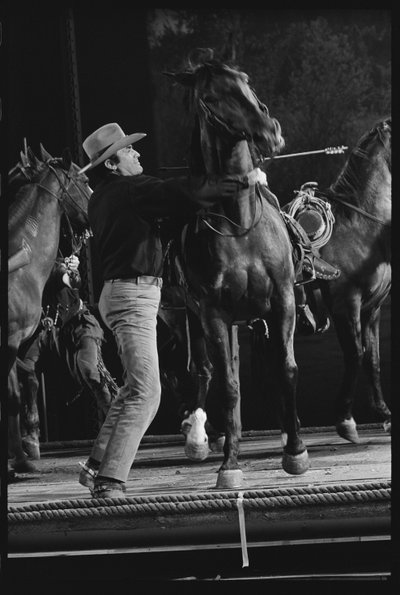 Gregory Peck mit Pferd am Set von 