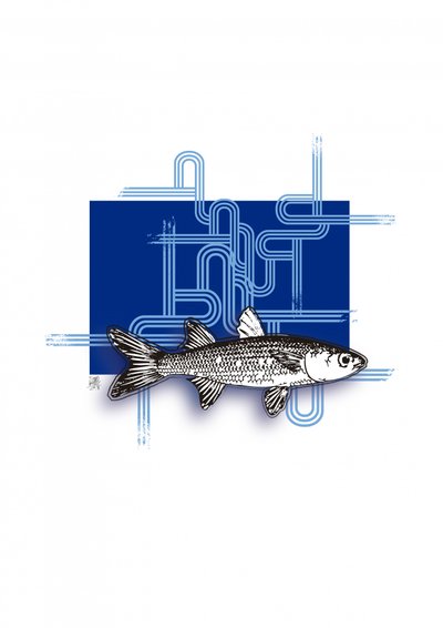 Blauer Geometrischer Fisch von Osvaldo Russo