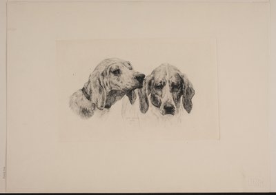 Zwei Hundeköpfe von Otto Bache