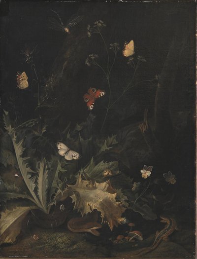 Ein Waldboden mit einer Distel, einer Schlange, einer Eidechse und Schmetterlingen von Otto Marseus  van Schrieck