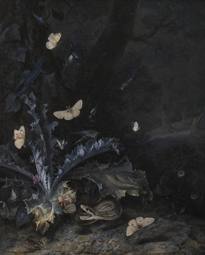 Stillleben mit Distel und Schlange von Otto Marseus  van Schrieck
