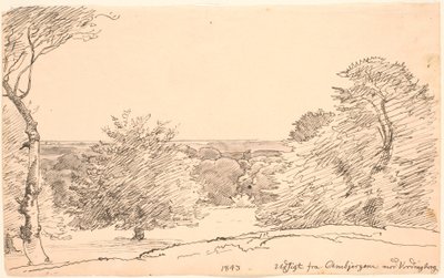 Landschaft mit Bäumen und weitem Blick von Ambjergene nach Vordingborg von P.C. Skovgaard