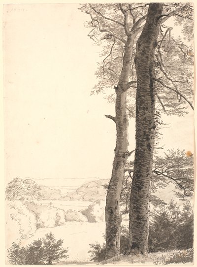 Landschaft bei Skarritsø mit zwei hohen Bäumen, Buchen, im Vordergrund von P.C. Skovgaard