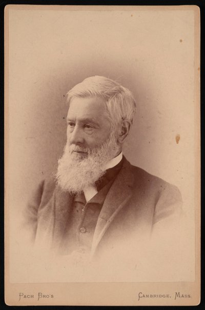 Porträt von Asa Gray von Pach Bros